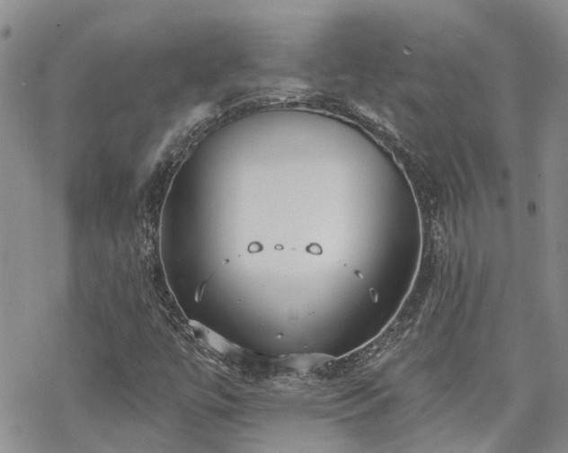 X0000070361447200606091019