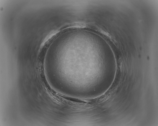 X0000070361448200606091019