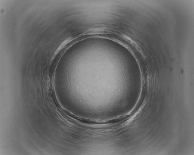 X0000070361449200606091019