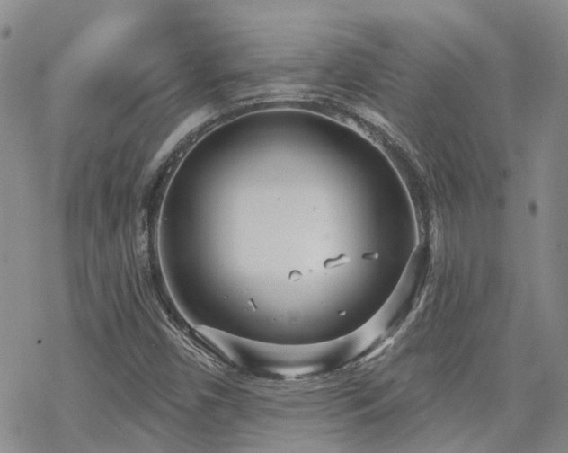 X0000070361450200606091019