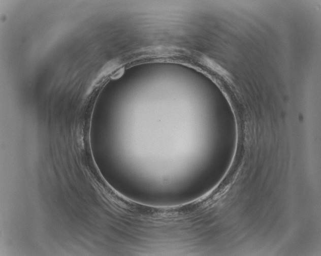 X0000070361451200606091019