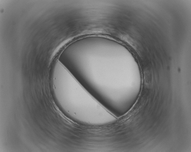 X0000070361452200606091019