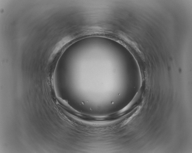 X0000070361453200606091019