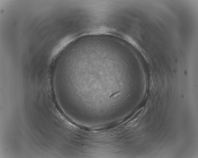 X0000070361456200606091019