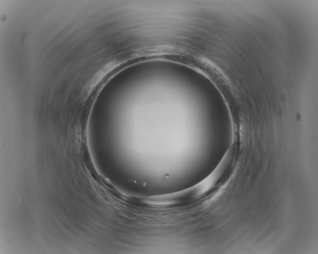 X0000070361457200606091019