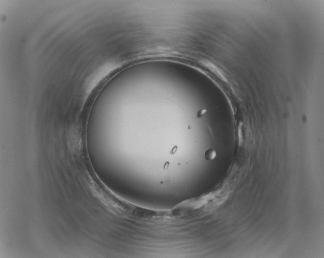 X0000070361458200606091019