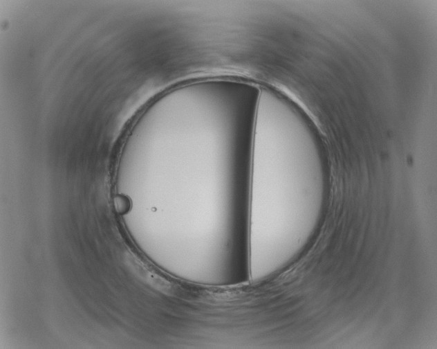 X0000070361460200606091019