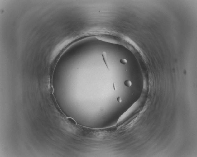 X0000070361461200606091019