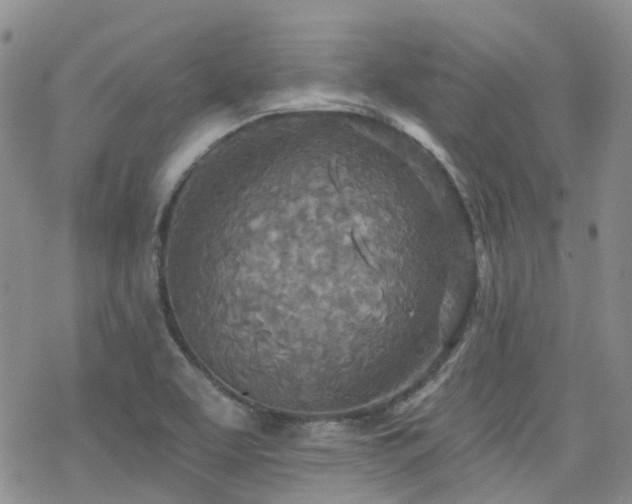 X0000070361463200606091019