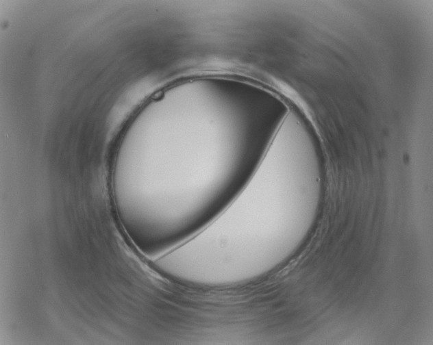 X0000070361464200606091019