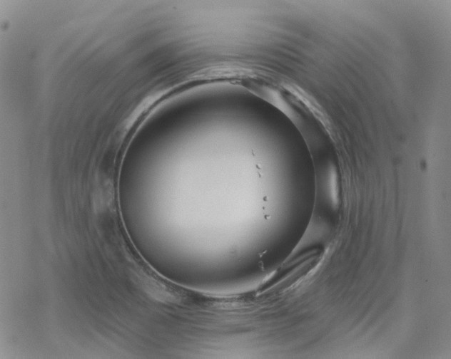 X0000070361465200606091019