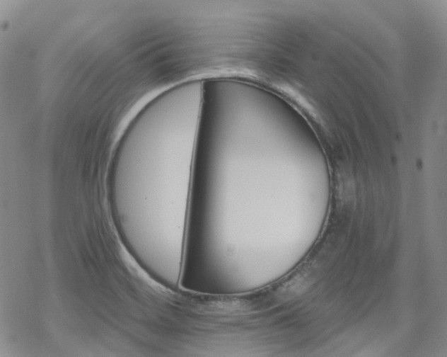 X0000070361468200606091019