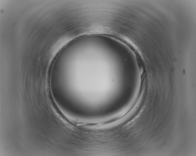 X0000070361469200606091019