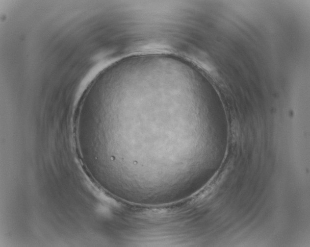 X0000070361470200606091019