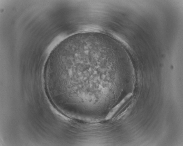 X0000070361471200606091019