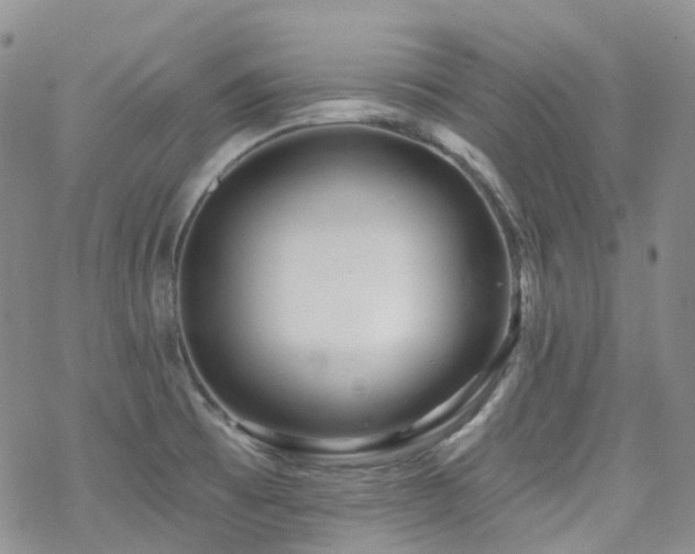 X0000070361473200606091019