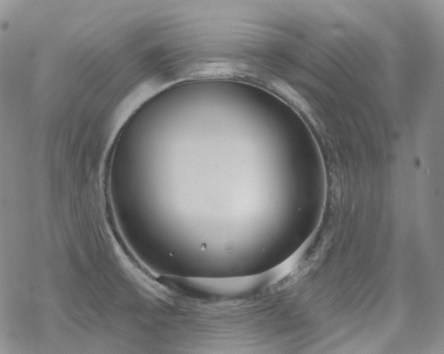 X0000070361475200606091019