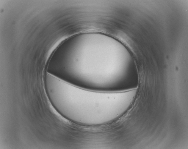 X0000070361476200606091019