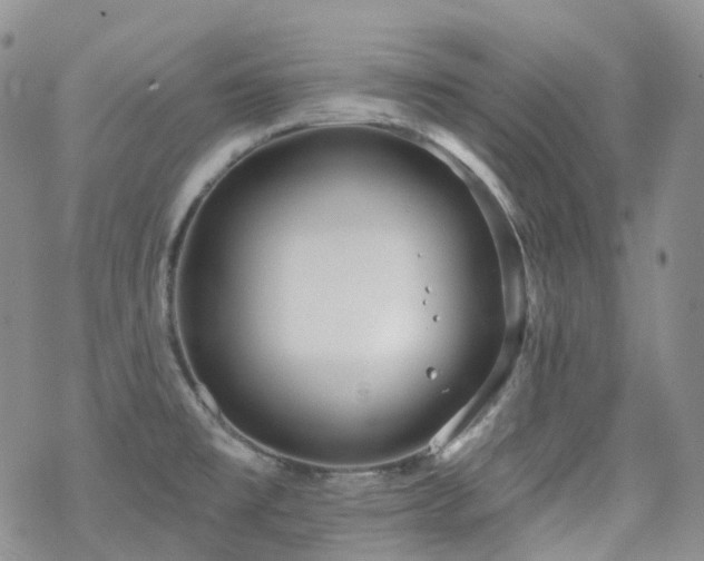 X0000070361477200606091019