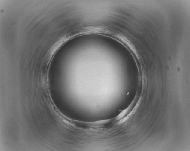 X0000070361481200606091019