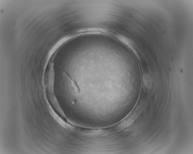 X0000070361482200606091019