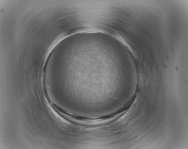 X0000070361484200606091019