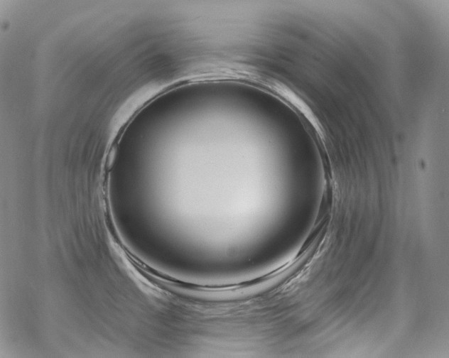 X0000070361485200606091019