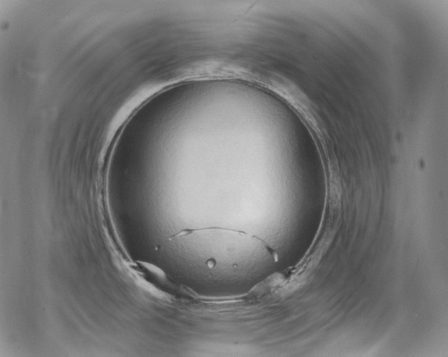 X0000070361486200606091019