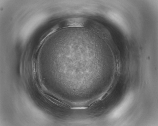 X0000070361487200606091019