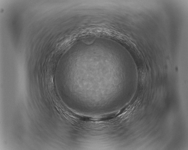 X0000070361489200606091018