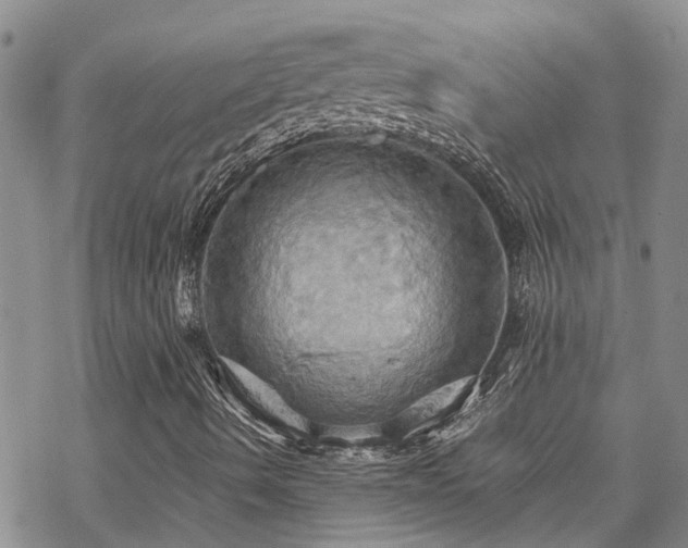 X0000070361490200606091018