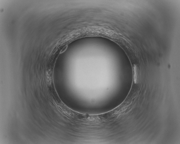 X0000070361491200606091018