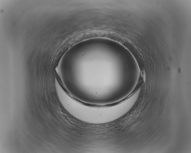 X0000070361492200606091018