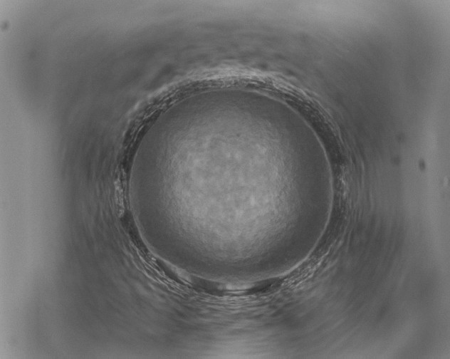 X0000070361493200606091018