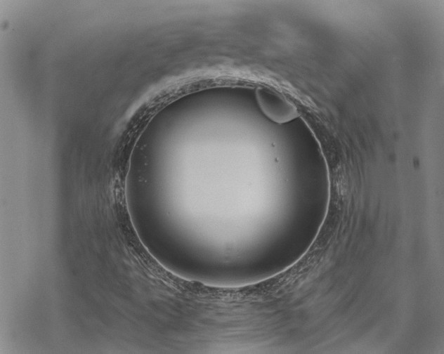 X0000070361495200606091018