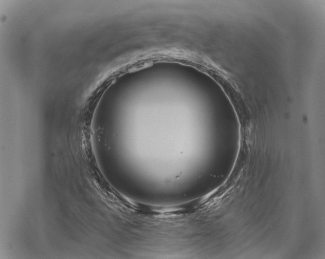 X0000070361496200606091018