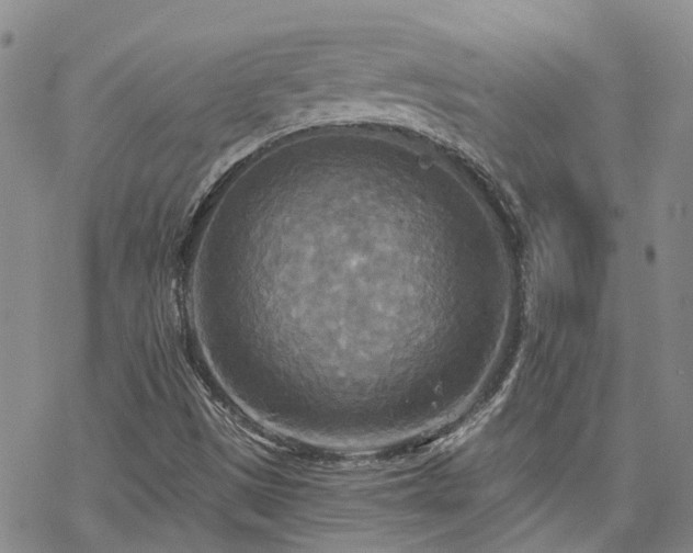 X0000070361497200606091018