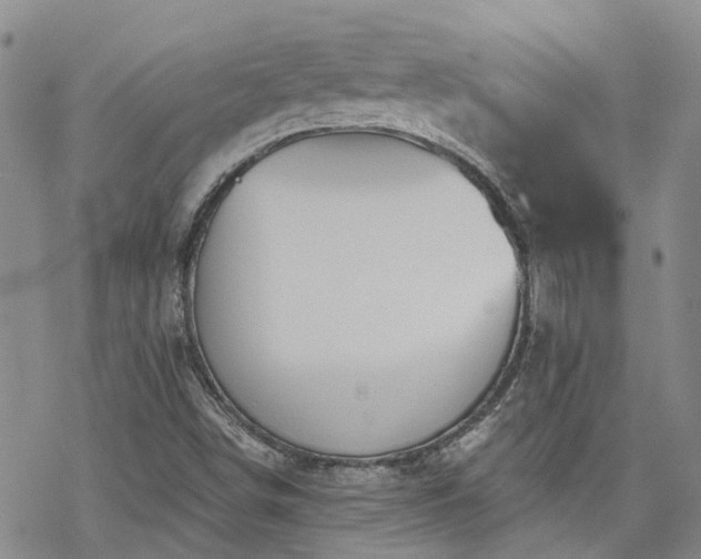 X0000070361498200606091018