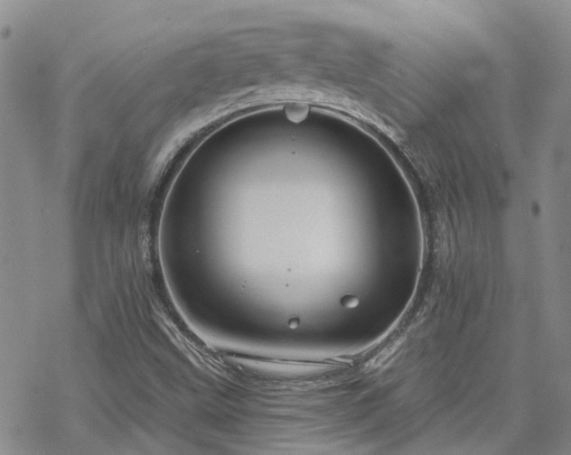 X0000070361499200606091018