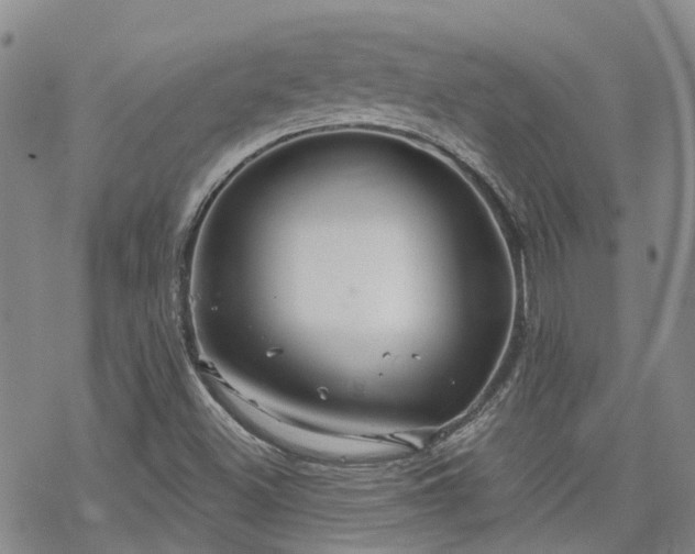 X0000070361500200606091018