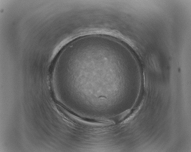 X0000070361501200606091018