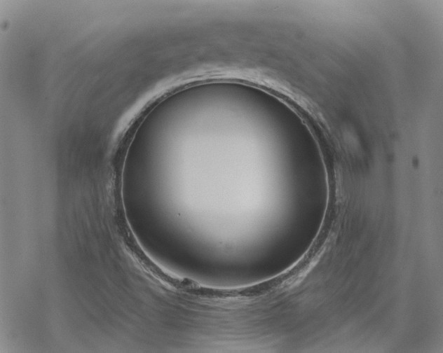 X0000070361502200606091018