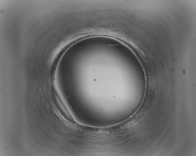 X0000070361503200606091018