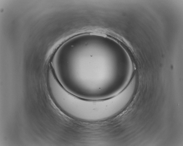 X0000070361504200606091018