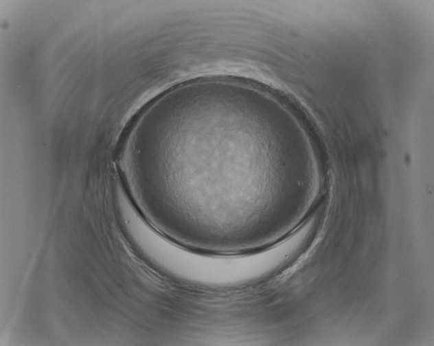 X0000070361505200606091018