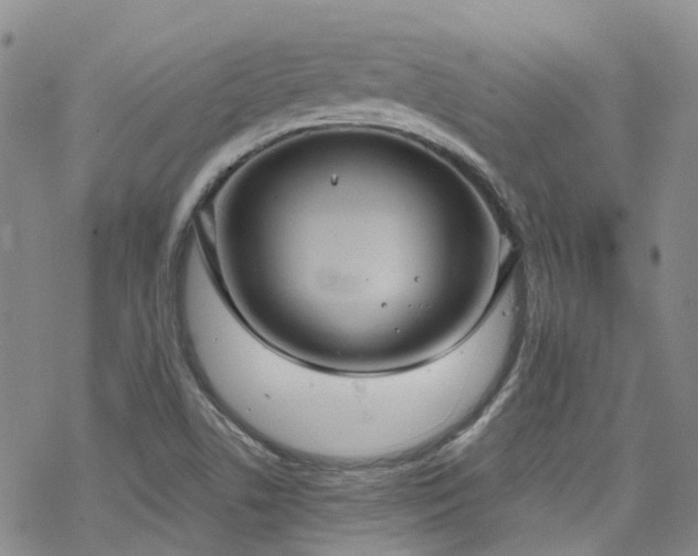 X0000070361506200606091018