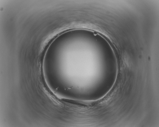 X0000070361507200606091018