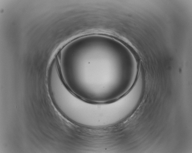 X0000070361508200606091018