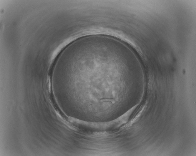 X0000070361509200606091018