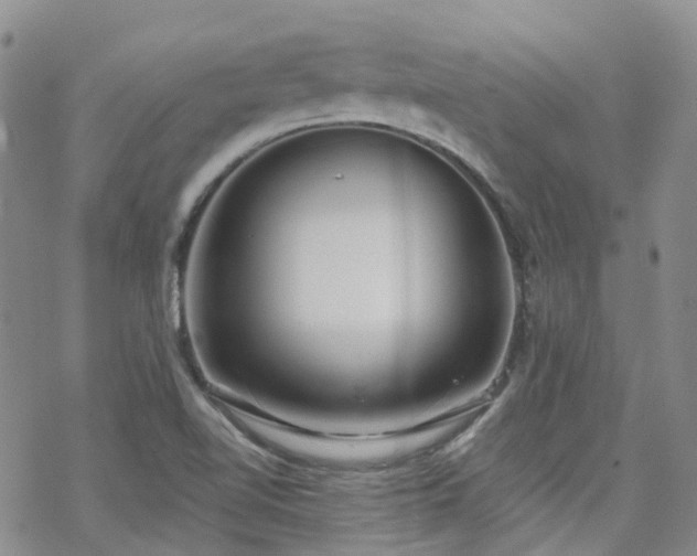 X0000070361510200606091018